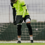 BodyShield Knee Guards