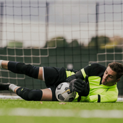 BodyShield Knee Guards