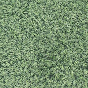 BodyShield Leg Guard