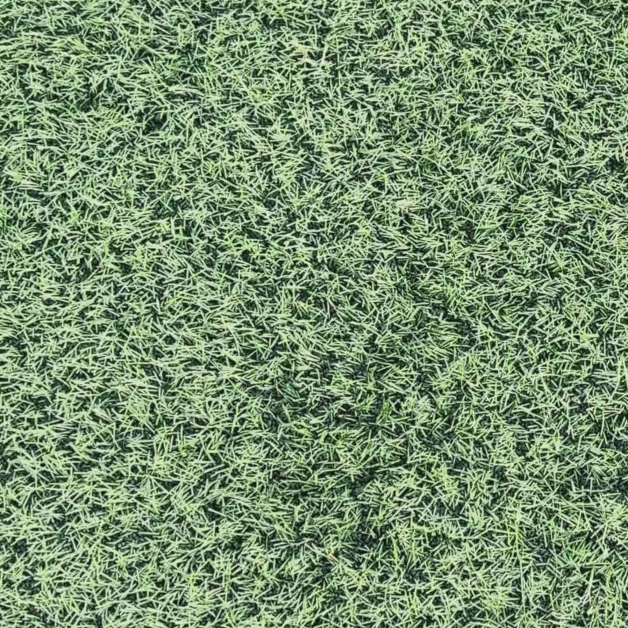 BodyShield Leg Guard